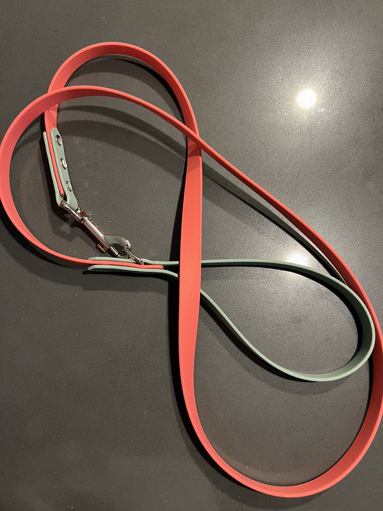 Biothane leash - Gnarly Dog Shoppe