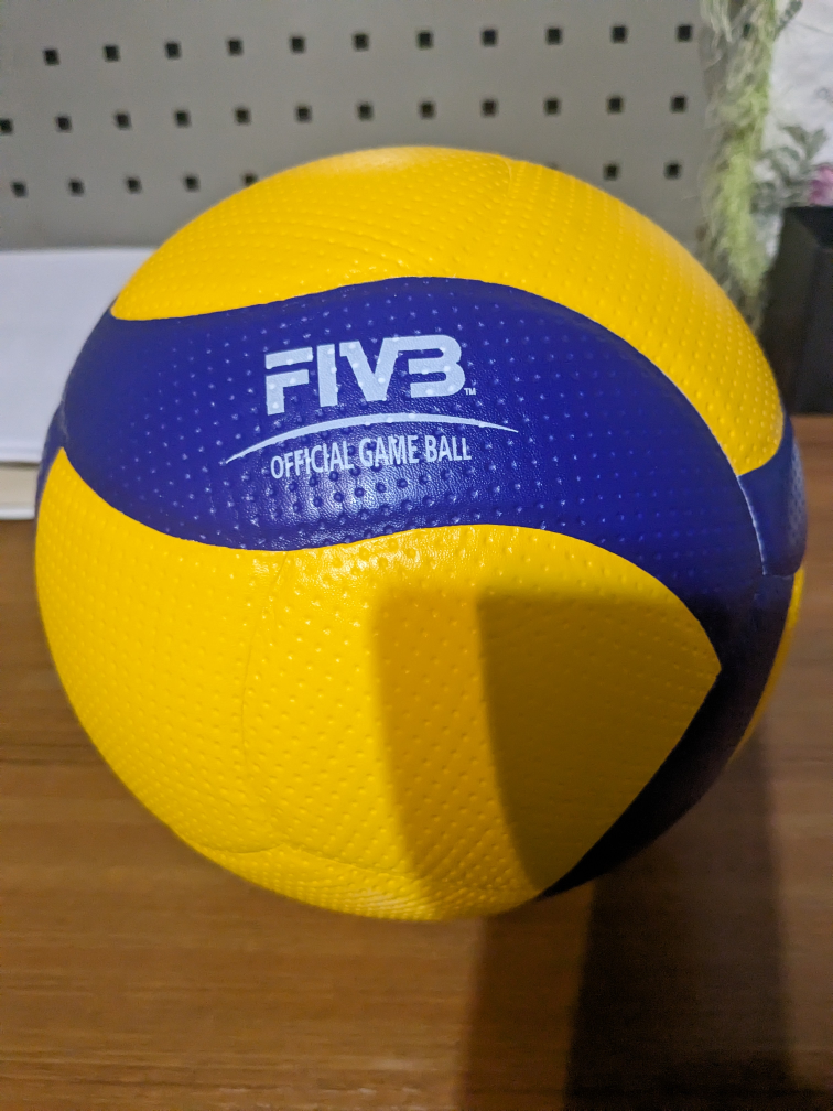 Mikasa V200W Volleyball Official - photo 3
