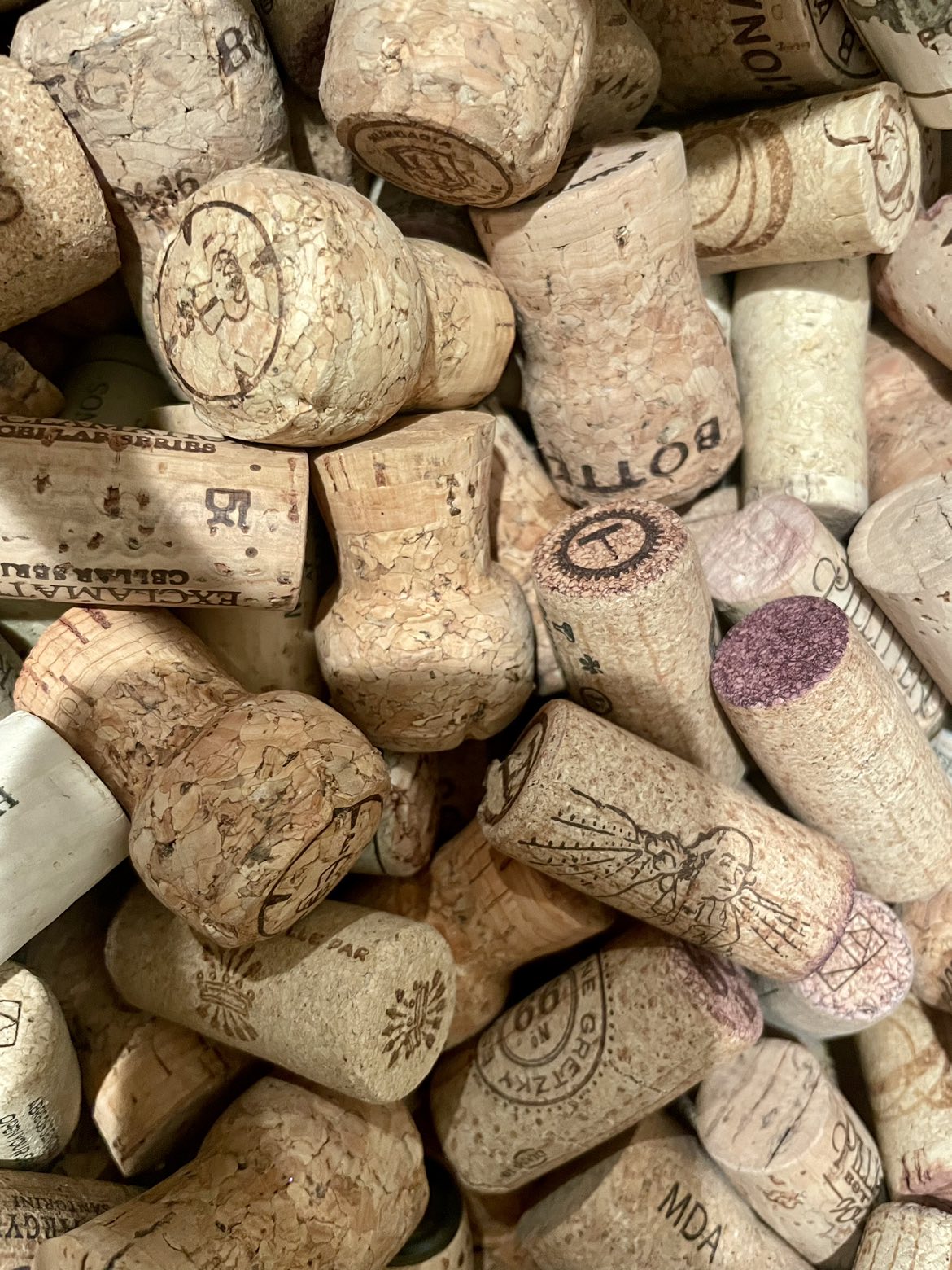 FREE Large Bag of Wine Corks #freecycle