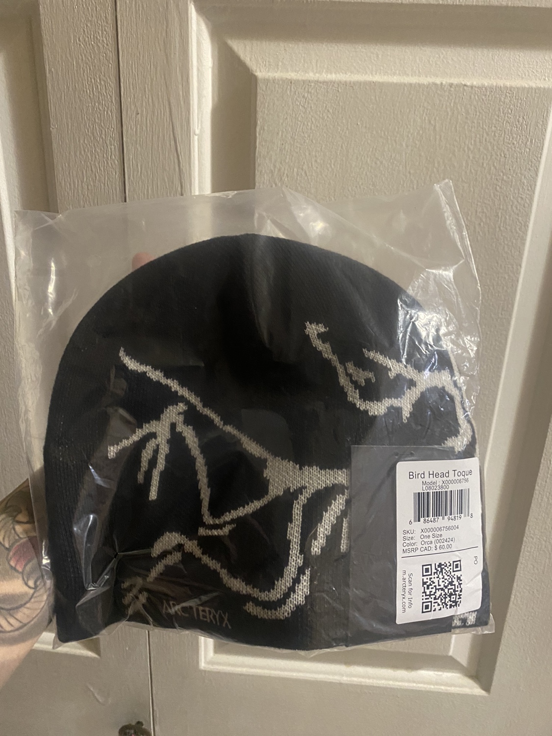 Arc’teryx bird toque