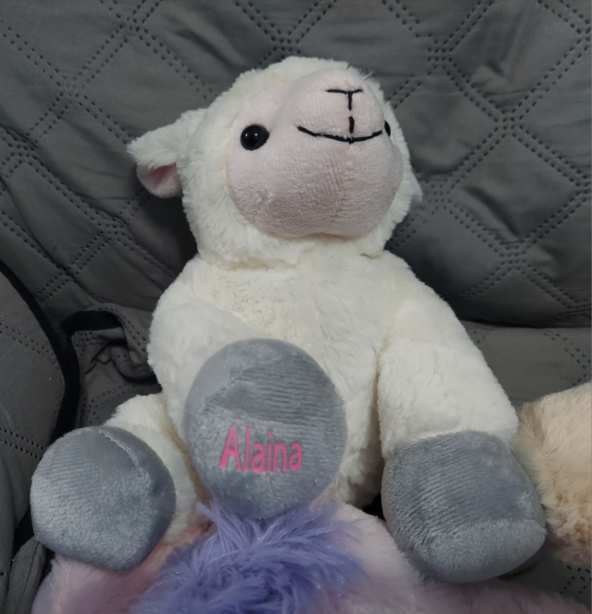 Personalized Plush - photo 3