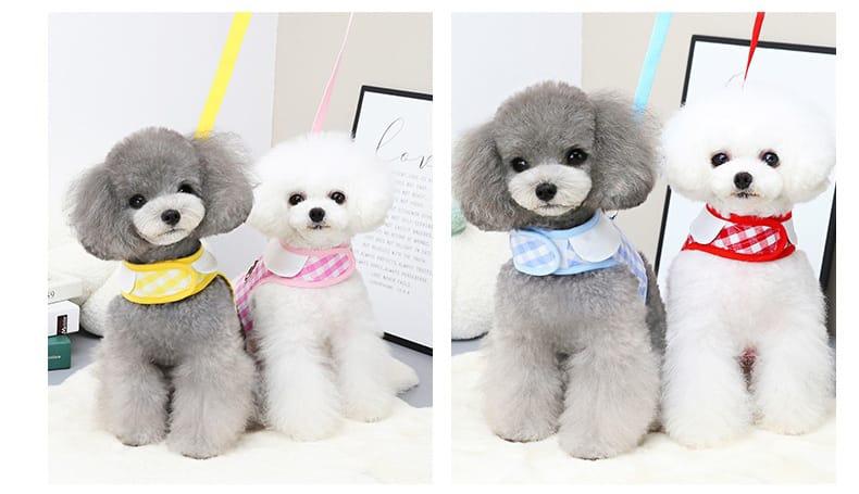 Matching Harness & Leash Set NEW image indicator(7)