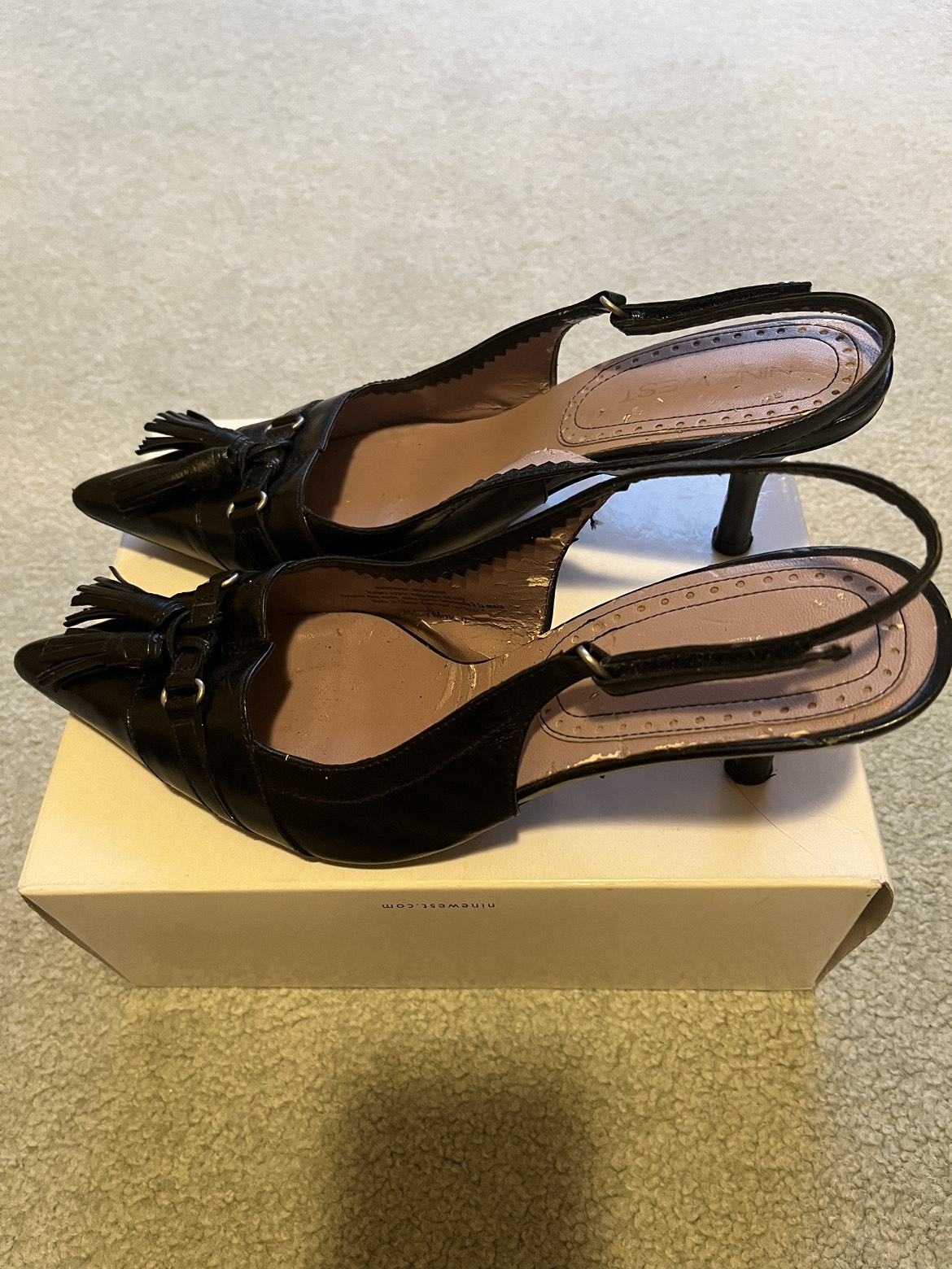 Nine West Pointed Toe and Slingback Silhouette