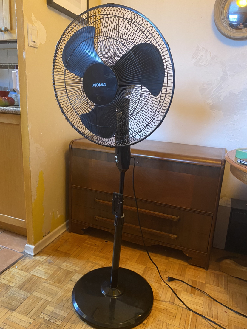 NOMA Oscillating Floor Fan