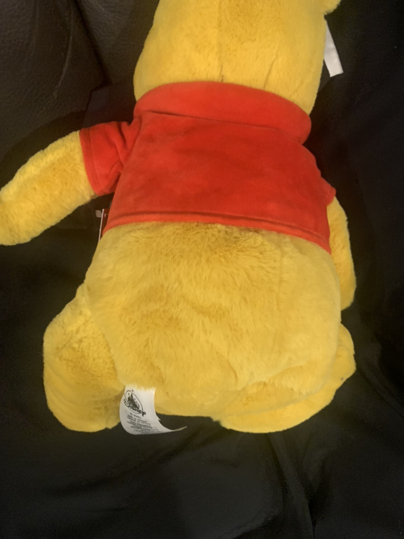 $20 Disney Winnie the Pooh 15” (NWT) - photo 2