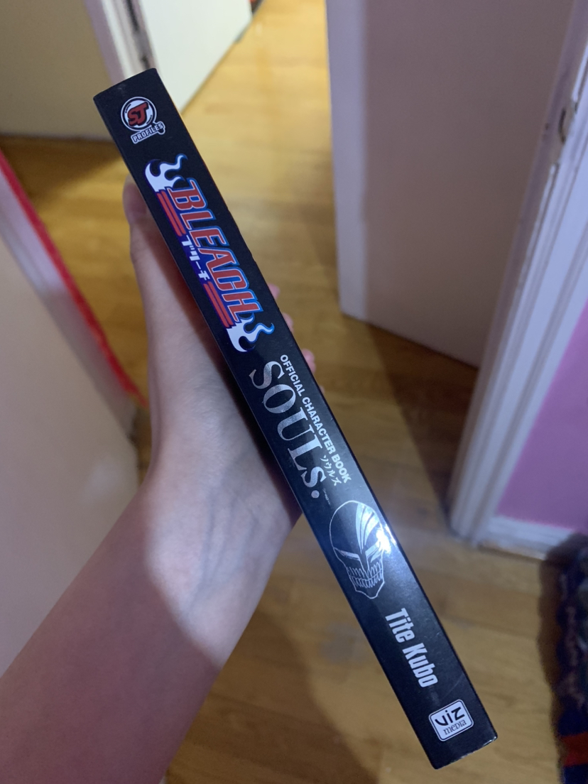 Bleach the official character book image indicator(3)