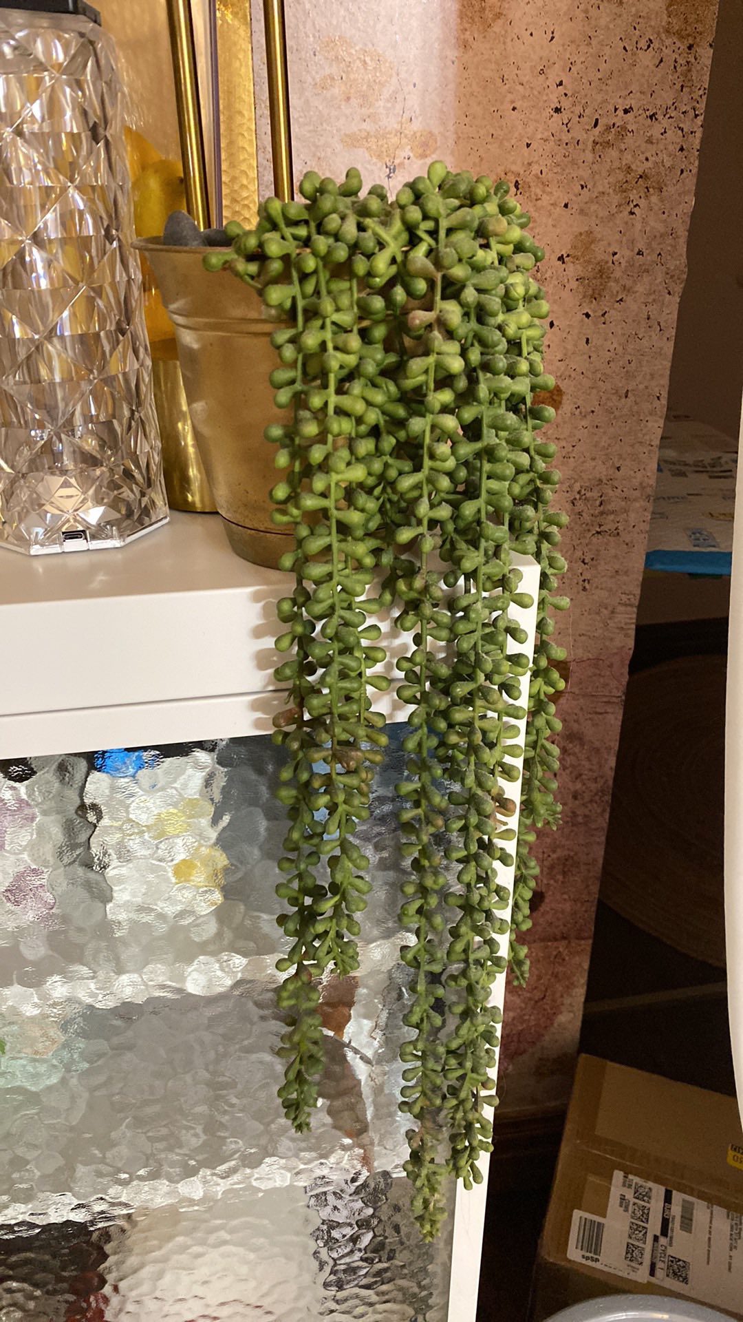 Plants assorted with containers - photo 2