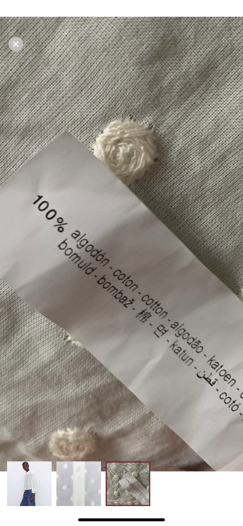 NWT Zara Romantic Blouse - Medium image indicator(3)