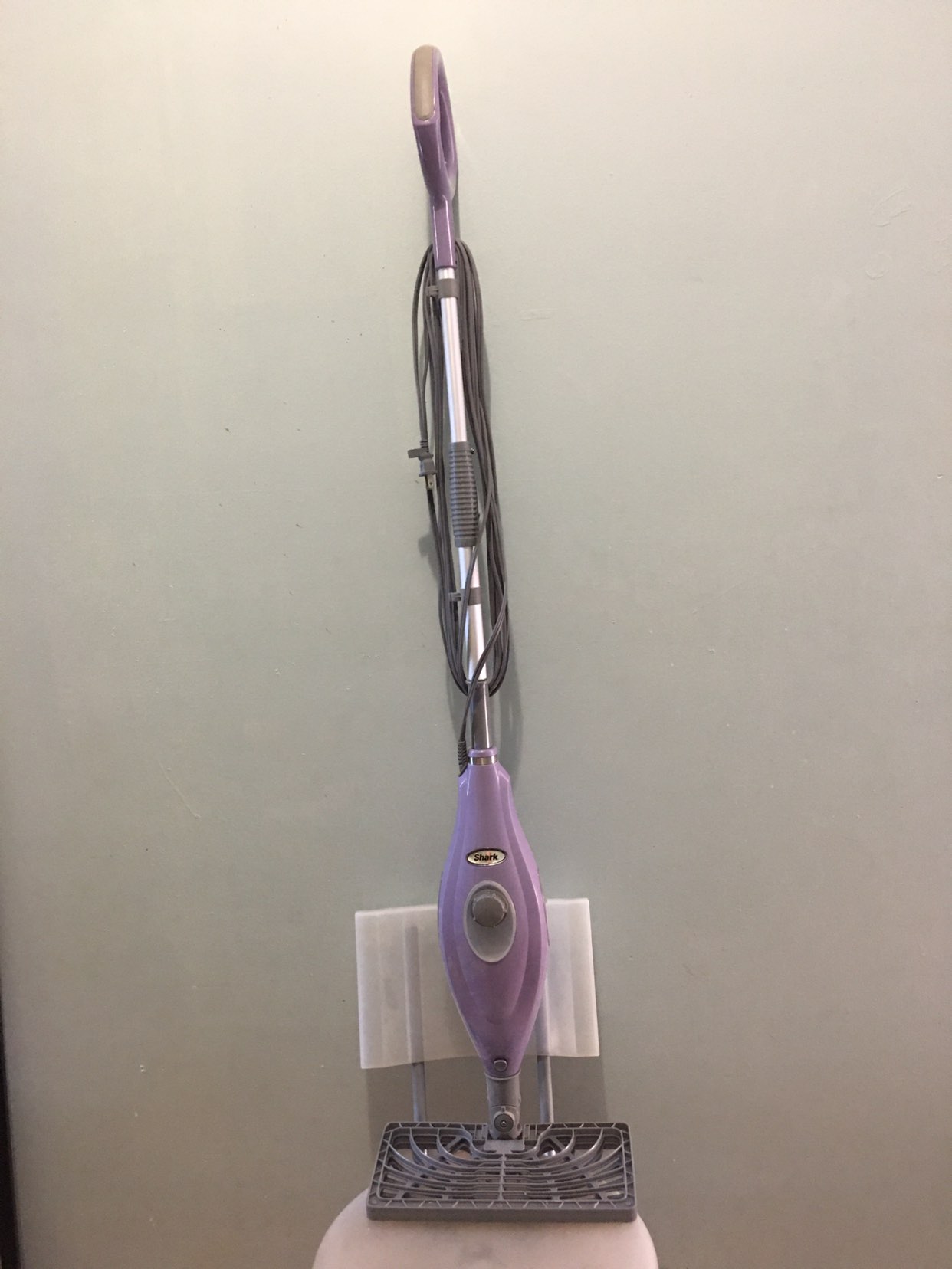 Steam Cleaner