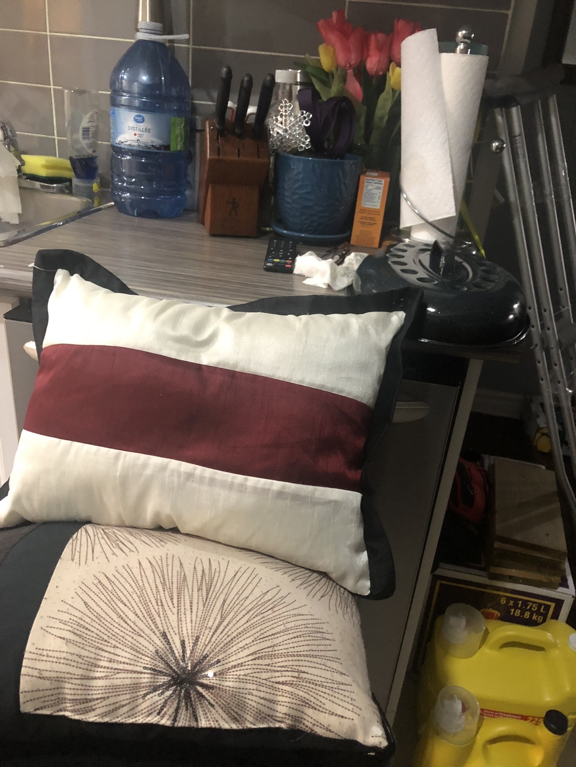 ���🥕throw pillows (day 7 under $20) image indicator(3)
