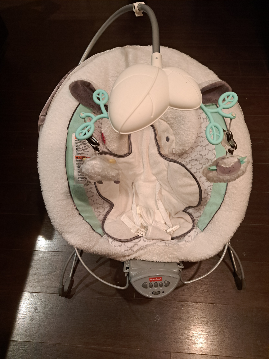 Free Imperfect Fisher Price Bouncer thumbnail