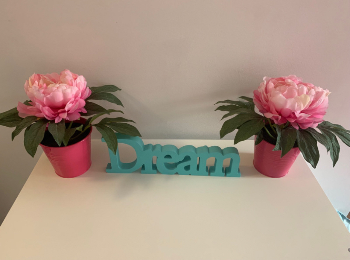 Pink Flowers and Teal Sign