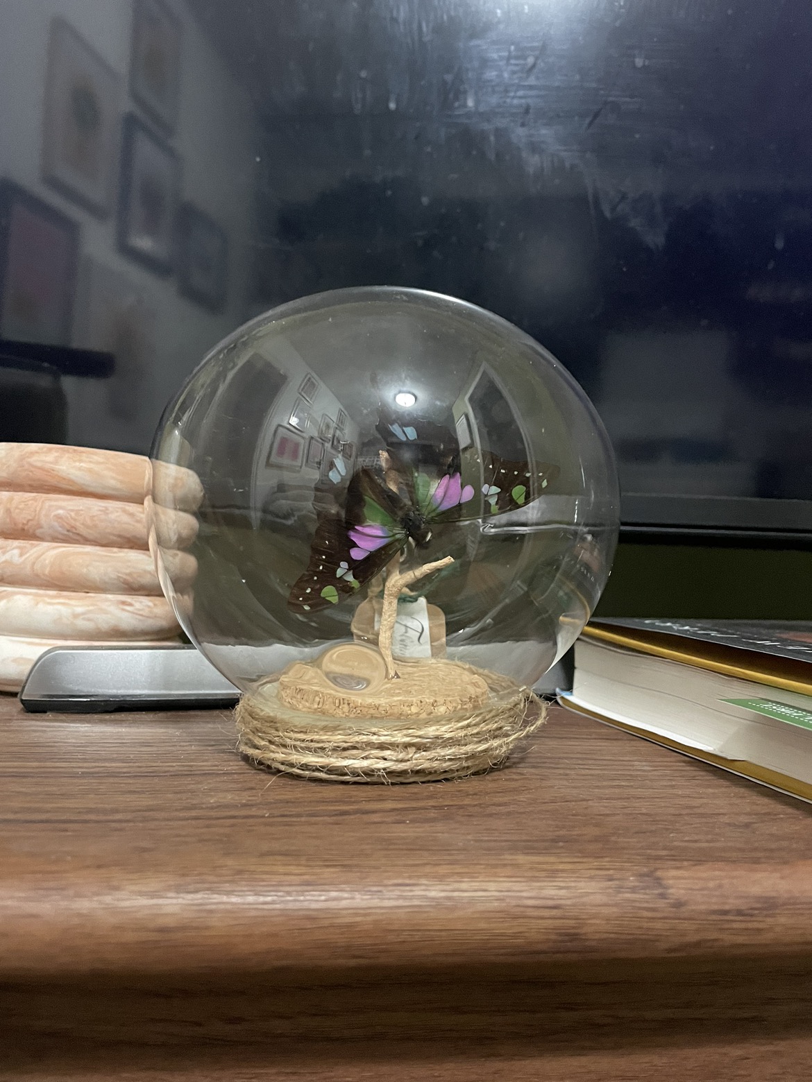 Butterfly Ornament 🦋 thumbnail