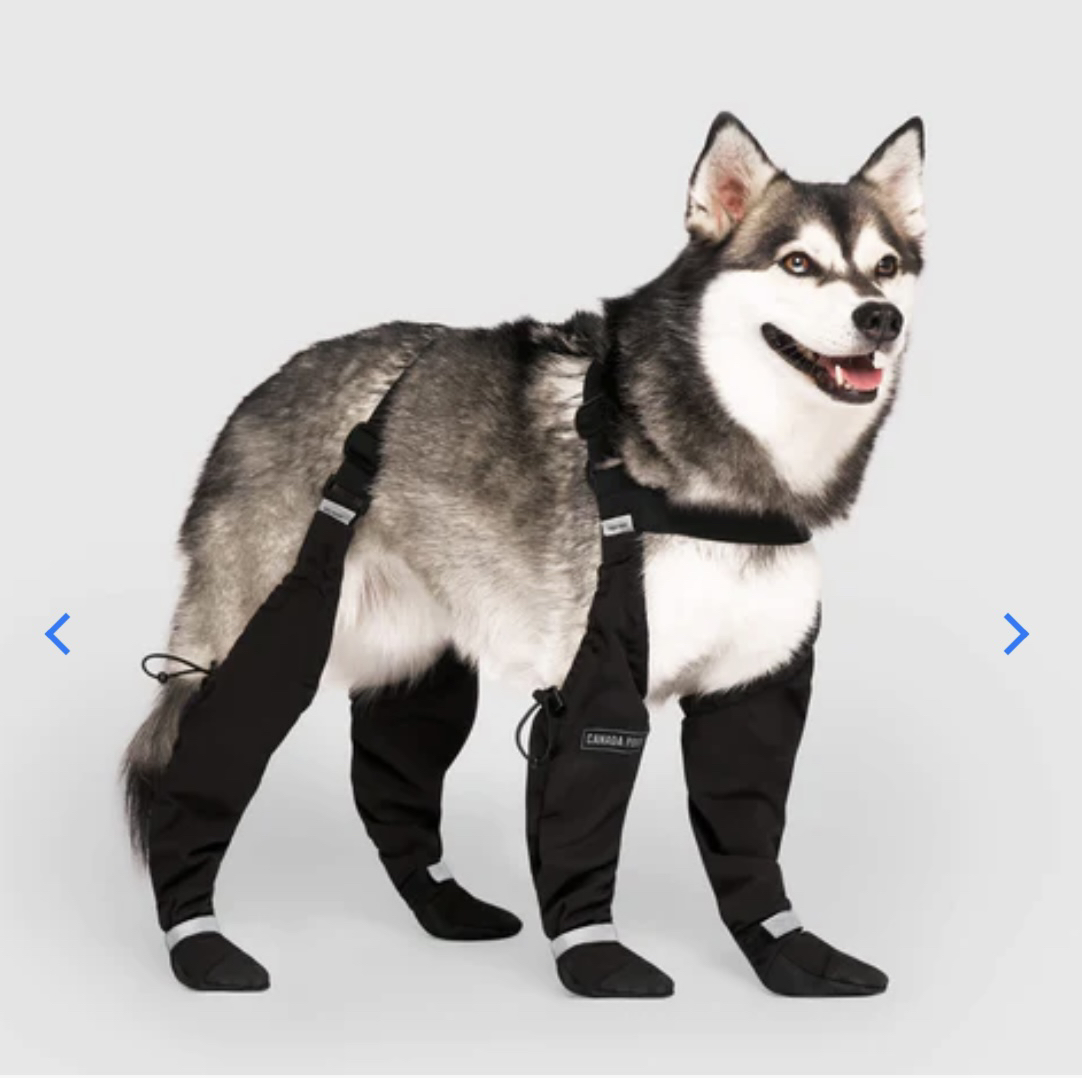 Canada Pooch Suspender Boots