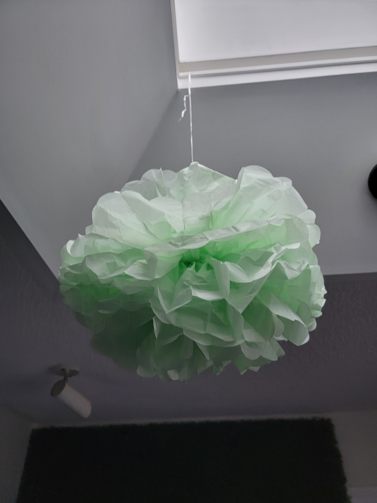 1st birthday decor #freecycle