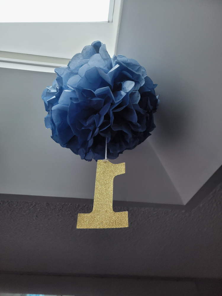 1st birthday decor #freecycle image indicator(2)