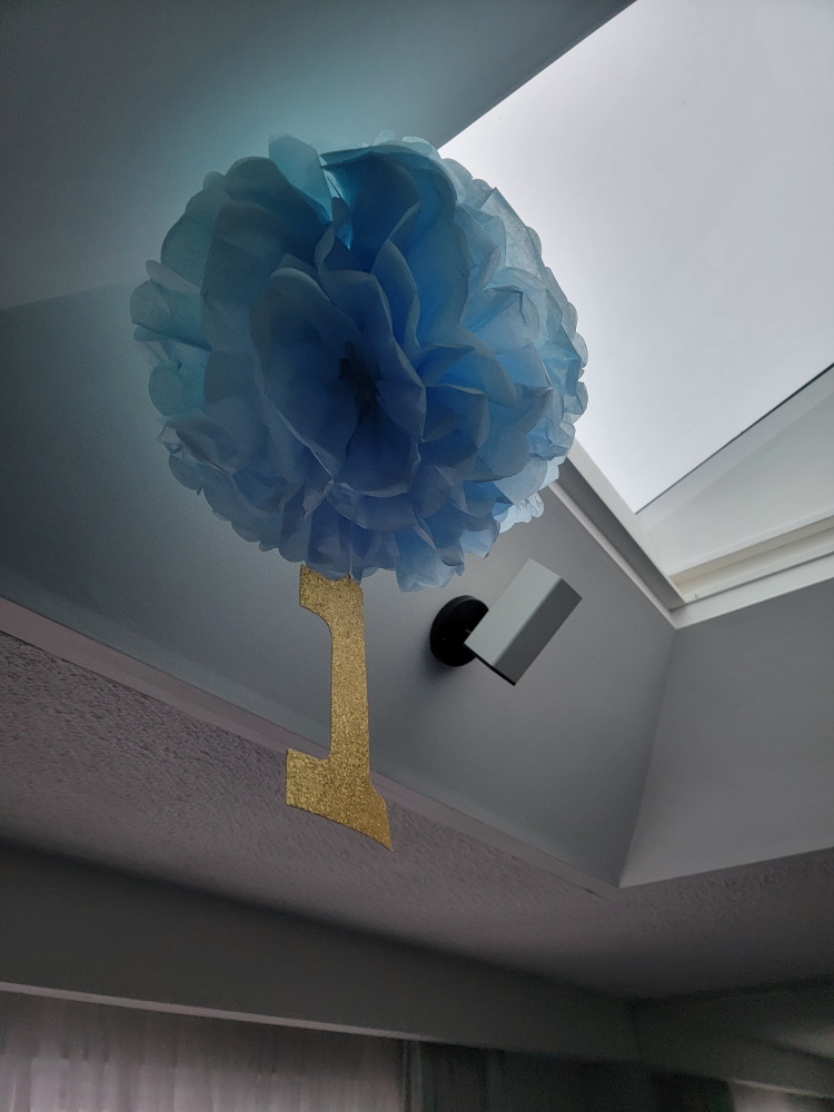 1st birthday decor #freecycle image indicator(3)