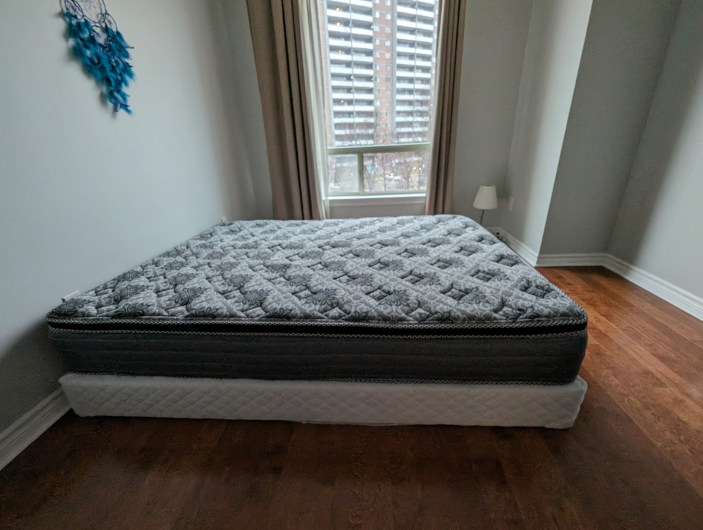 Queen size mattress with box spring included (pet / bug free)