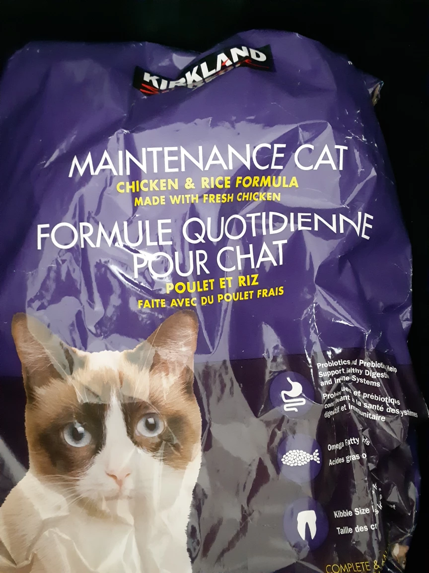 NIB Kirkland Maintenance Cat Food (9.07kg)! 🍗 thumbnail