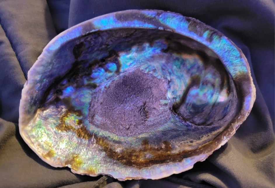 Abalone Shell Incense Holder thumbnail
