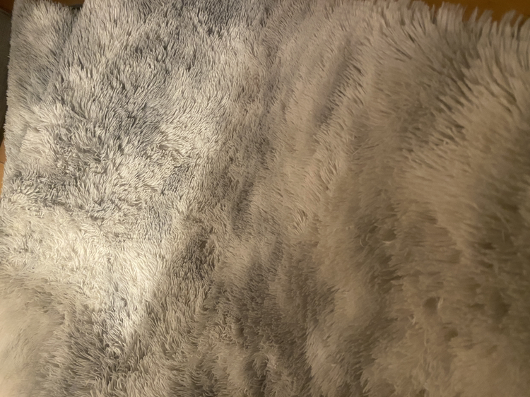 Carpet rug image indicator(2)