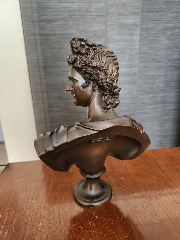 Bust image indicator(2)