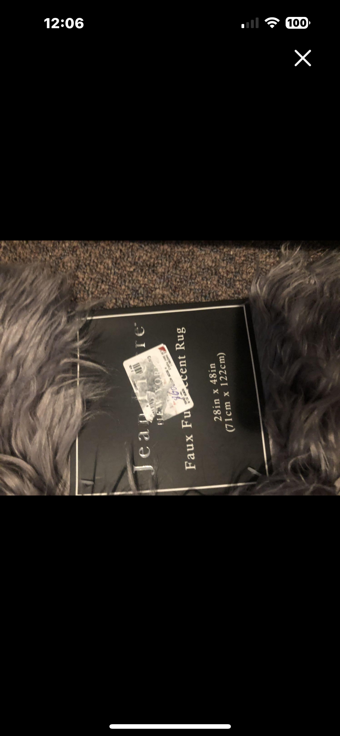 🥕Shag Rug ( item fr living room) image indicator(2)