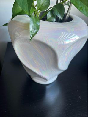 Beautiful plants