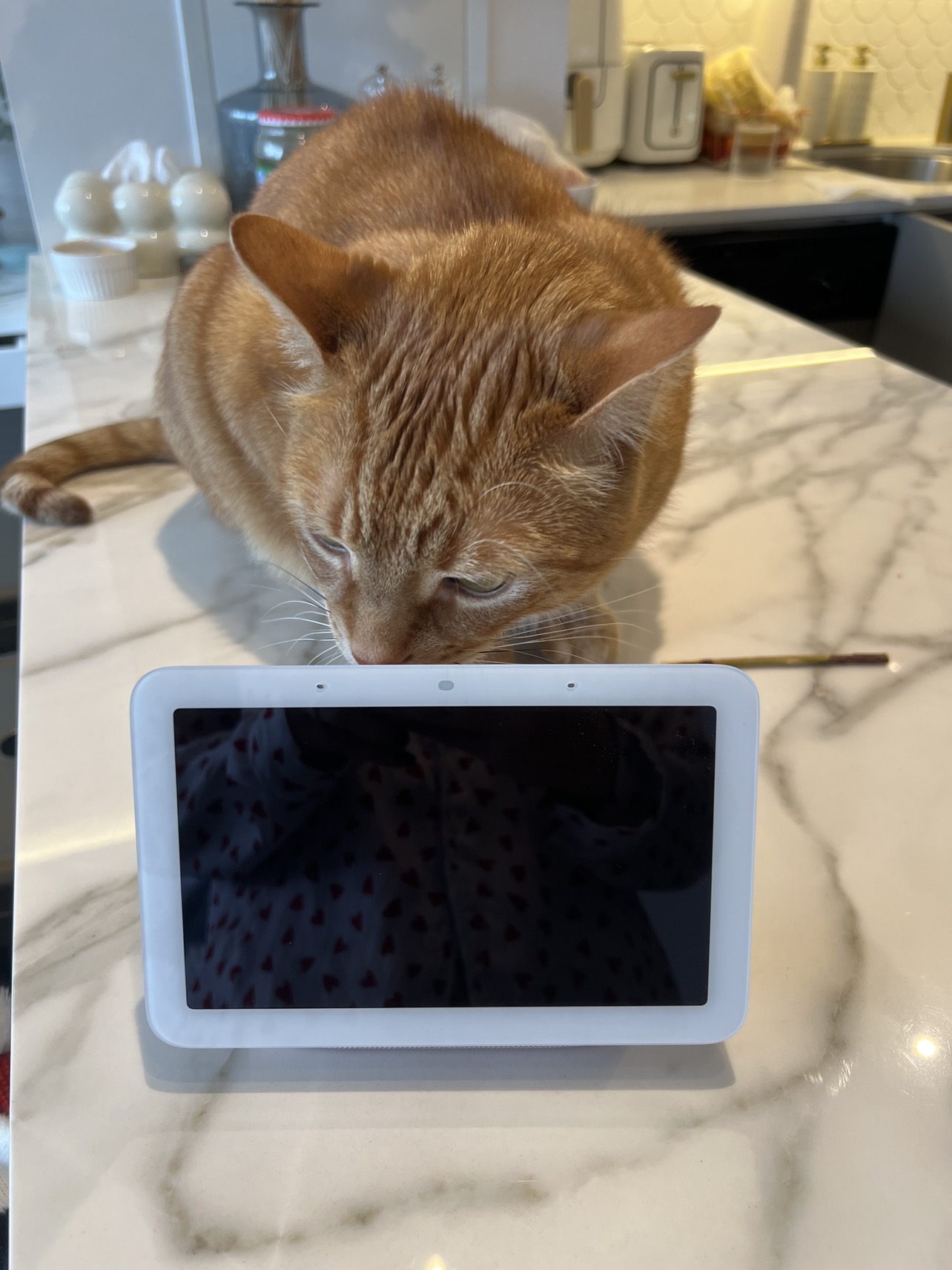 Google Nest Hub (2nd Gen) with screen $90 (retails for $129)