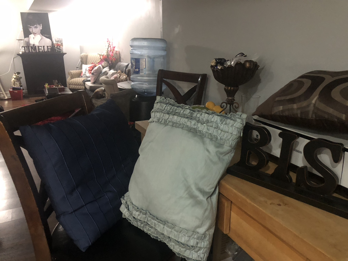 🥕throw pillows (day 7 under $20) image indicator(2)