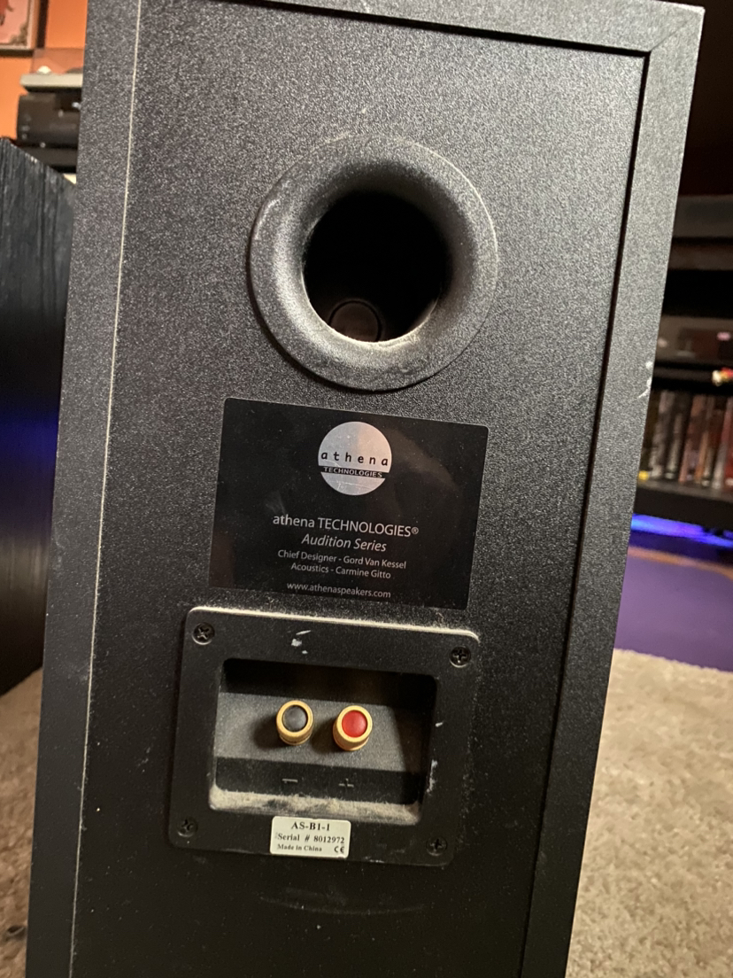 Athena Technologies Audition AS-B1 Loudspeakers - photo 2