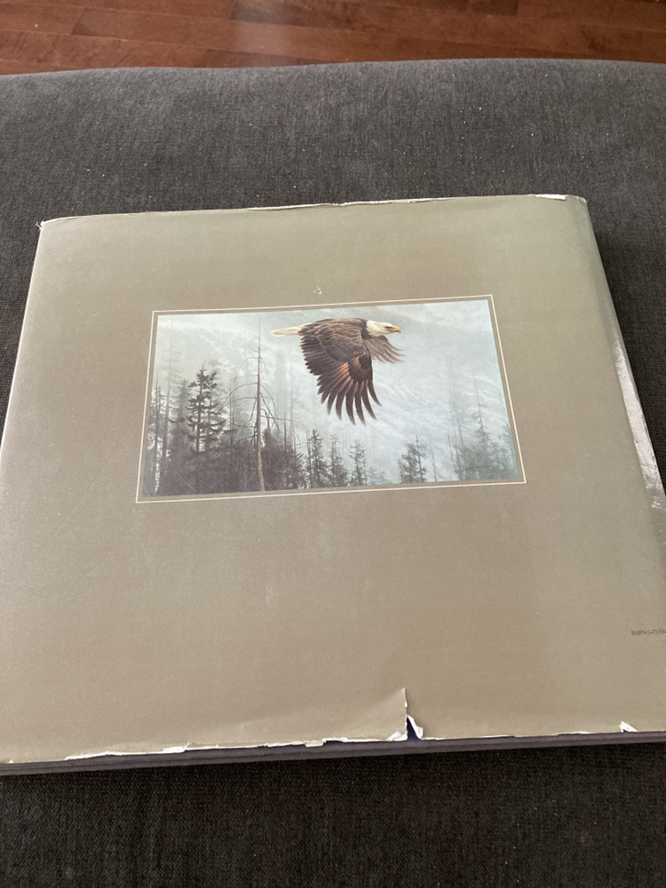 🥕FREE🥕 Artist Book image indicator(5)