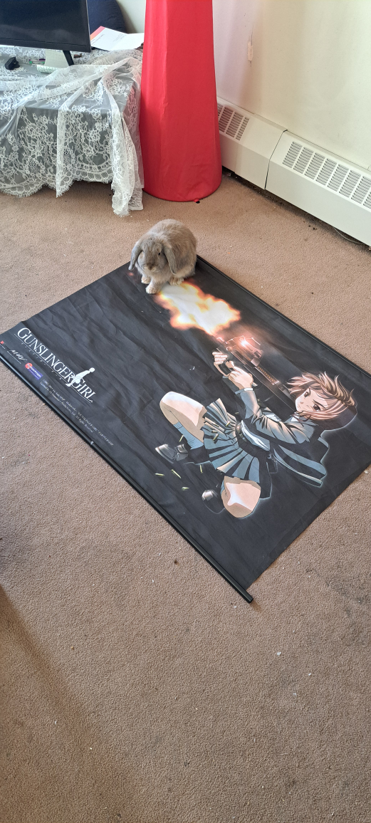 gunslinger wall scroll