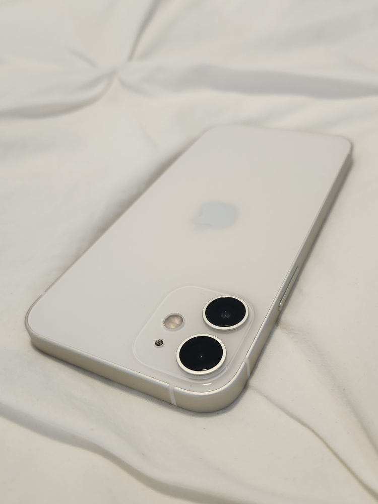 iPhone 12 mini and Casetify cases (including lightening cable) image indicator(5)