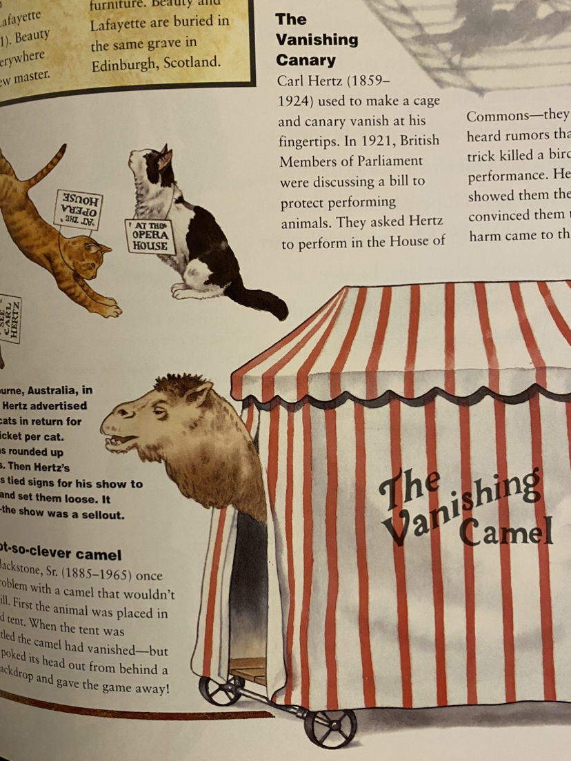 Vintage book on magic image indicator(3)