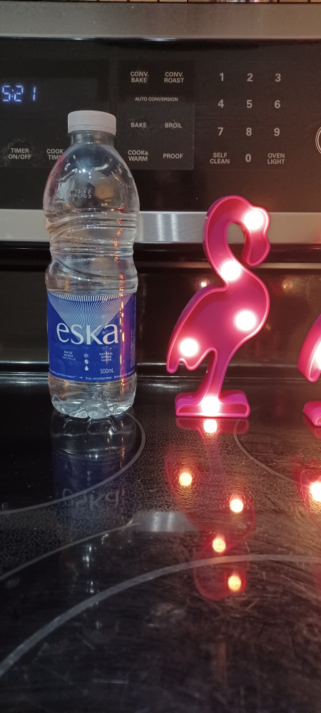 Two Small Light Up Flamingos thumbnail