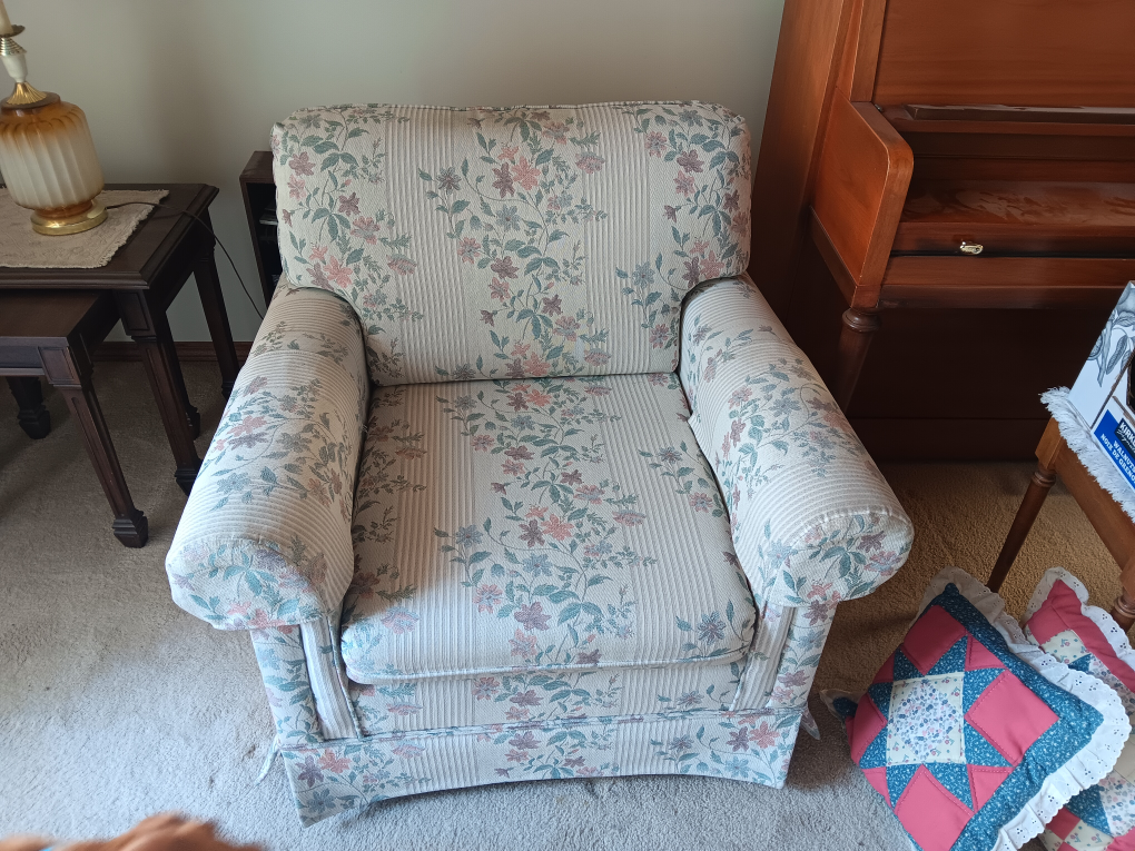 #freecycle, matching couch & chair - photo 5