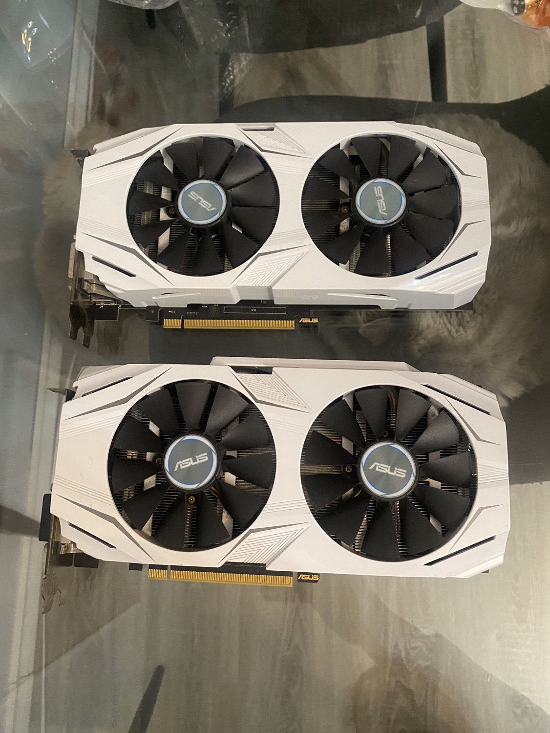 ASUS GTX 1060