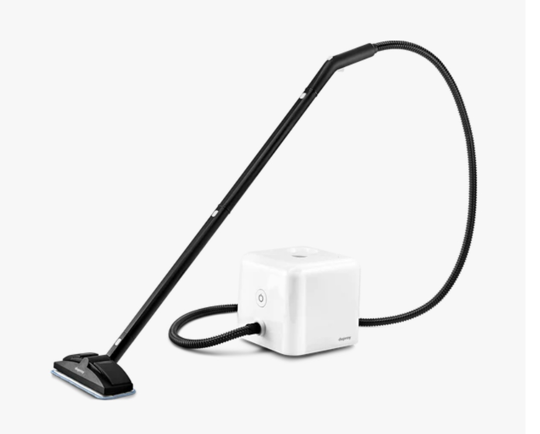 Dupray Steam Cleaner