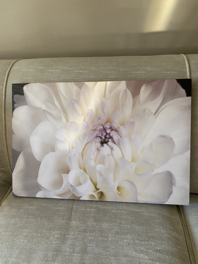 Canvas Prints - photo 4