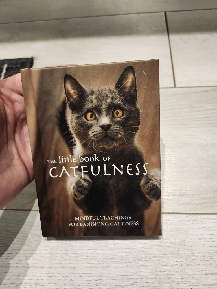 Cat Book thumbnail