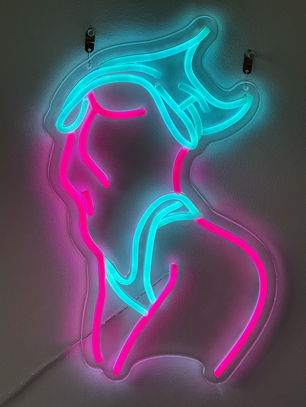 LED neon sign