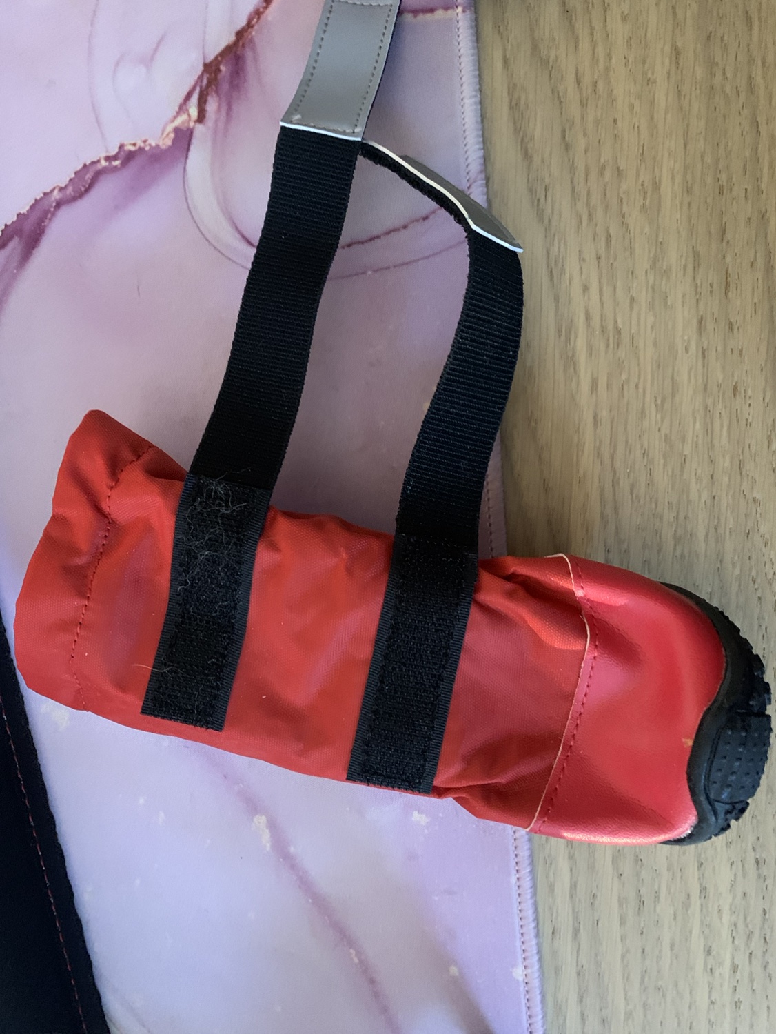 🐶Dog boots for snow day 🥕 image indicator(3)