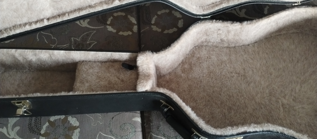 Guitar Hard case - photo 4
