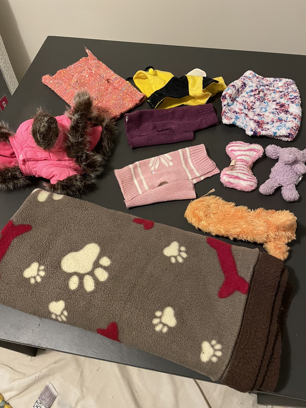 Small Dog clothing/toys