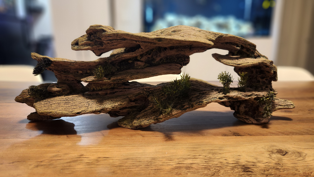 AQUARIUM DECORATIONS - photo 2