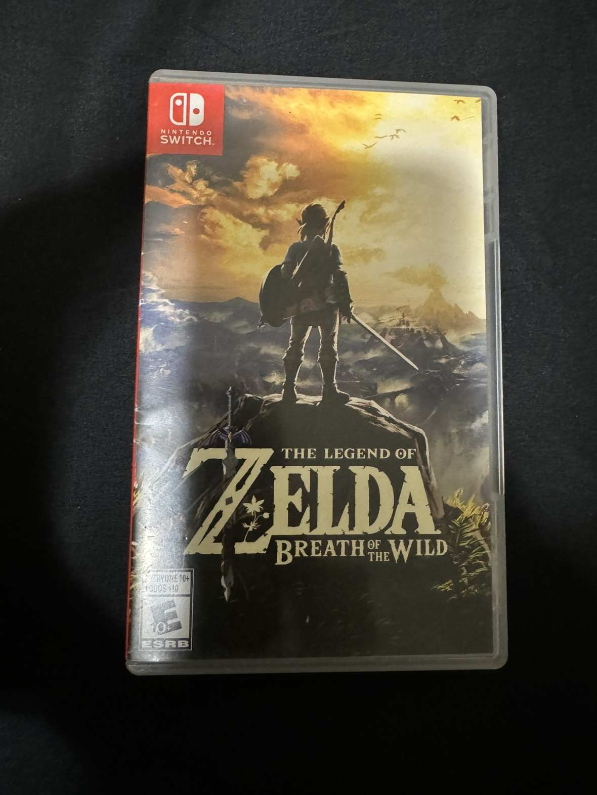 Nintendo Switch Games (The Legend of Zelda) thumbnail
