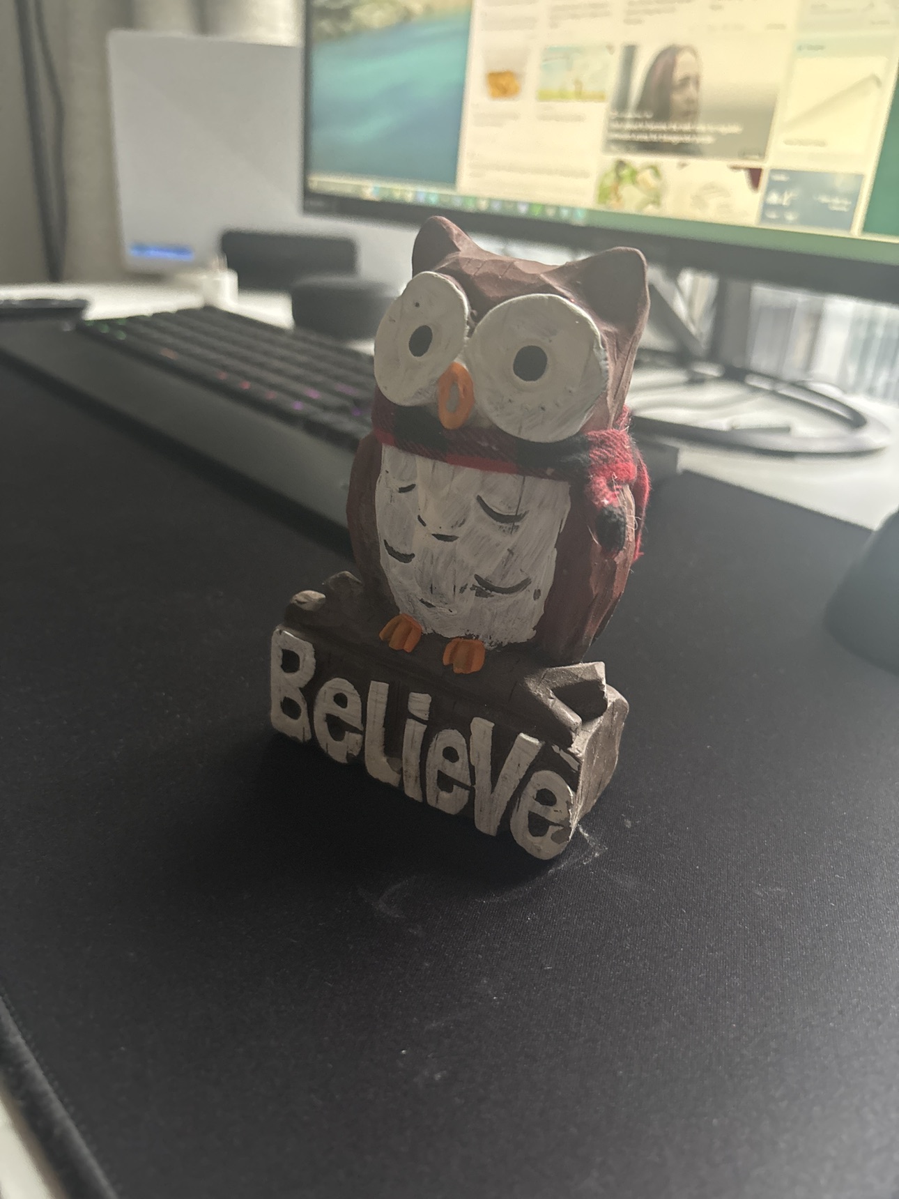 Cool Owl Decor- #Freecycle - photo 2