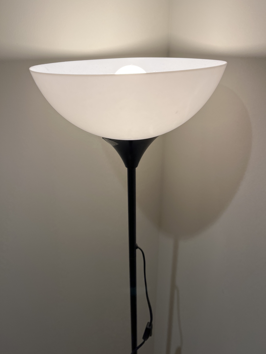 Floor Lamp #freecycle