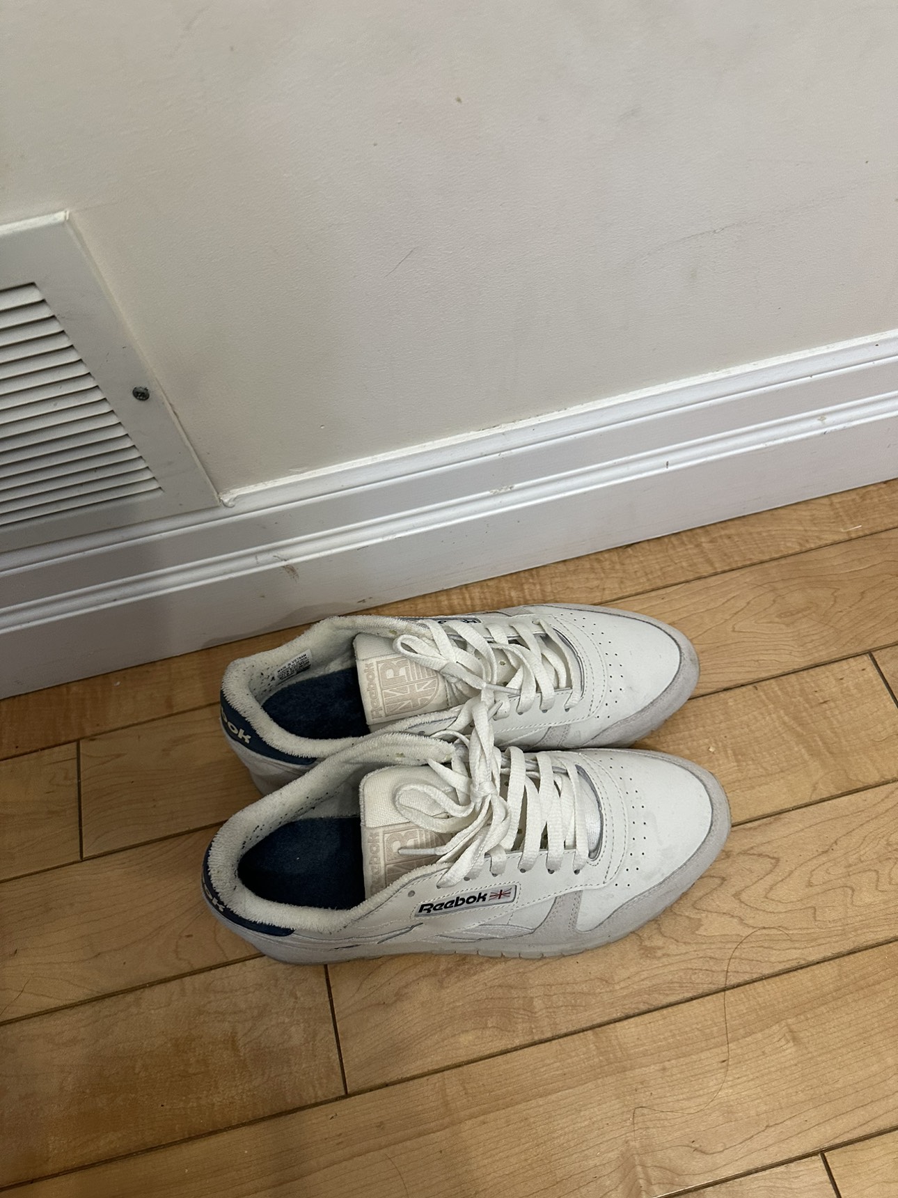 Lightly worn Reebok shoes